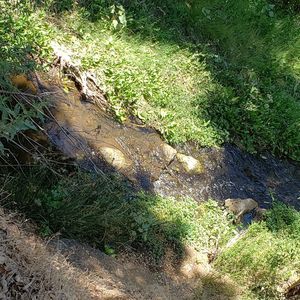 Meet your Posher, José